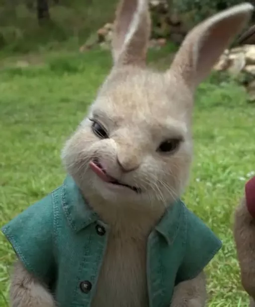 Cotton-Tail (Peter Rabbit) - AIEasyPic